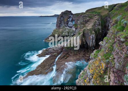 Blick auf den Vogelfelsen, der auch ein Naturschutzgebiet ist, unter dem Leuchtturm von Cap Frehel. Stockfoto