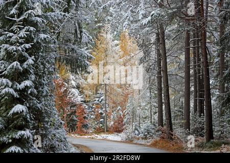 Spätherbst auf dem Mieminger-Plateau in Tirol Stockfoto