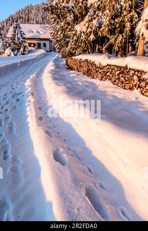 Hütte in verschneiter Winterlandschaft mit Nadelwald bei Sonnenaufgang, Himmelberg, Kärnten, Österreich Stockfoto
