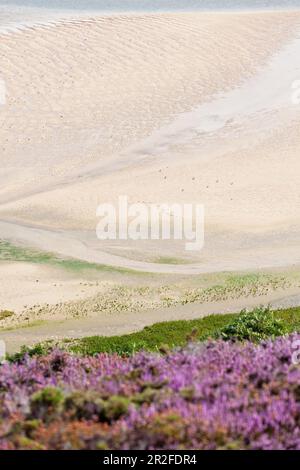 Die Bucht von Sable d oder Erquy bei Ebbe ist abstrakt. Befindet sich zwischen Cap Frehel und Cap Erquy. Brittany, Frankreich. Stockfoto
