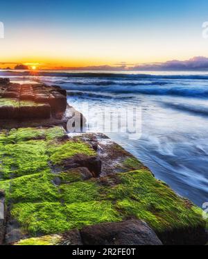 Sonnenaufgang am Mossy Tessalated Pavement am Eagle Hawk Neck, Tasmanien Stockfoto