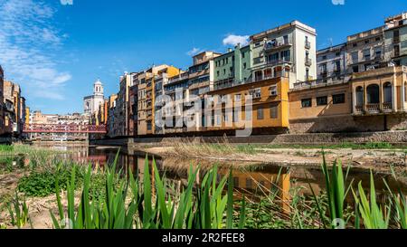 Farbenfrohe Häuser am Fluss Onyar in Girona, Kathedrale, Katalonien, Spanien Stockfoto
