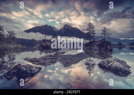 Blick über den Hintersee mit überwucherten Felseninseln im Vordergrund bis zur Schärtenspitze und Kleinkalter, Berchtesgadener Land, Bayern Stockfoto