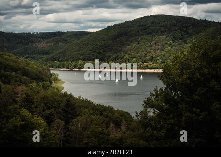 Segelboote auf dem Edersee zwischen Eschelberg und Berg Mühlecke, Waldeck, Waldeck-Frankenberg, Hessen, Deutschland, Europa Stockfoto