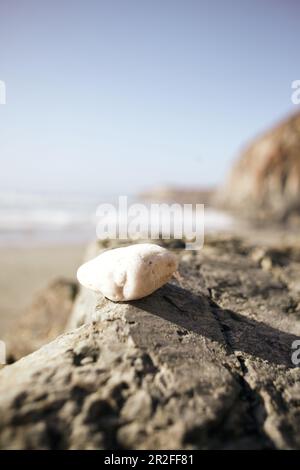 Weißer Stein auf einem Felsen am Big Sur Beach, Kalifornien, USA. Stockfoto