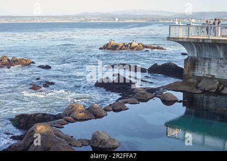 Besucherterrasse am Meer des Monterey Bay Aquarium in Monterey, Kalifornien, USA. Stockfoto