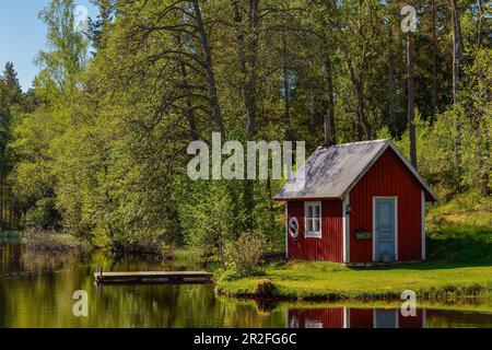 Ein versteckter Badeort mit Steg und Hütte am See in Stengårdshult, Schweden Stockfoto