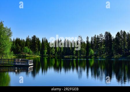 Eine Badebucht am See in Skaulo, Norrbotten County, Schweden Stockfoto