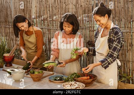 Glückliche südostasiatische Familie, die Spaß dabei hat, das thailändische Speisenrezept zusammen auf der Terrasse des Hauses zuzubereiten Stockfoto