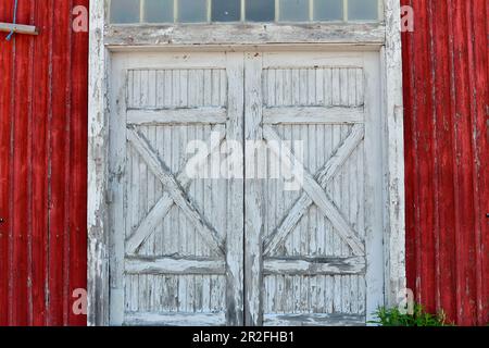 Ein altes weißes Holztor in einem roten Bootshaus, Bjuröklubb, Västerbottens län, Schweden Stockfoto