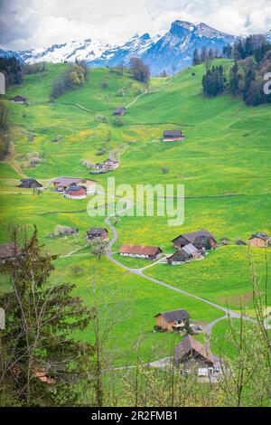 Malerischer Blick auf die Straße mit Häusern auf einer aufsteigenden alpinen Wiese in der Nähe des Berges Bürgenstock im Kanton Luzern, Schweiz Stockfoto