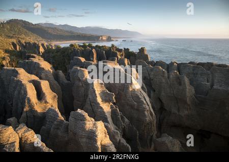 Blick auf die Pancake Rocks im Paparoa-Nationalpark an der Westküste Neuseelands. Stockfoto