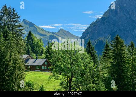 Forsthaus mit Rothorn im Hintergrund, Großes Walsertal Biosphärenreservat, Bregenzerwald, Bregenzerwald, Vorarlberg, Österreich Stockfoto