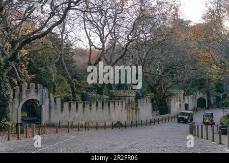 park in der Nähe des Nationalpalastes von Pena, Sintra, Lisboa, Portugal - dez. 2021. Hochwertiges Foto Stockfoto