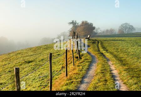 Ilkahöhe im Herbst, Tutzing, Bayern, Deutschland Stockfoto