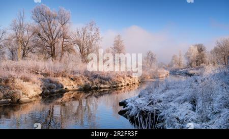 Loisach im Winter mit Heifrost auf Blättern und Gras, Grossweil, Bayern, Deutschland Stockfoto