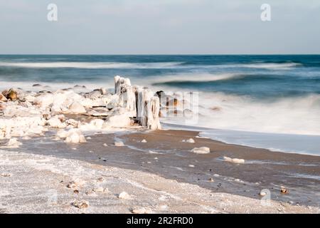 Eisige Groynes am Strand von Dahmeshöved, Ostee, Ostholstein, Schleswig-Holstein, Deutschland Stockfoto