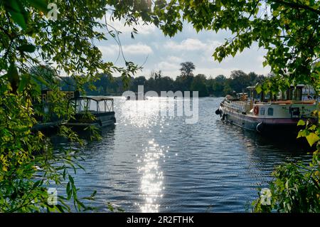 Jachthafen in Tiefen See, Potsdam, Bundesland Brandenburg, Deutschland Stockfoto