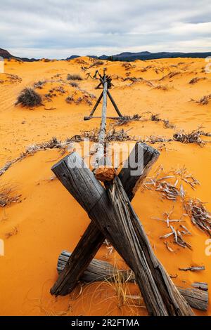 Verwitterter Wermut-Ranch-Zaun; Coral Pink Sand Dunes State Park; Utah; USA Stockfoto
