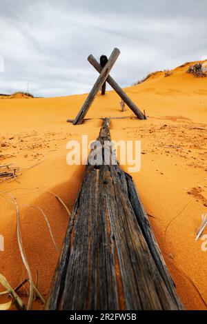 Verwitterter Wermut-Ranch-Zaun; Coral Pink Sand Dunes State Park; Utah; USA Stockfoto