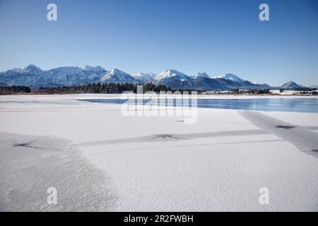 Gefrorener Hopfensee im Winter, Hopfen am See, Füssen, Ostallgäu, Bayern, Deutschland Stockfoto