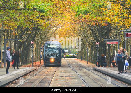 Bordeaux, Frankreich - 30. Oktober 2020 : die Straßenbahn fährt am Place des Quinconces mit bunten Herbstblättern in Bordeaux, Frankreich vorbei Stockfoto