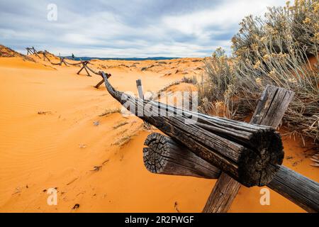 Verwitterter Wermut-Ranch-Zaun; Coral Pink Sand Dunes State Park; Utah; USA Stockfoto