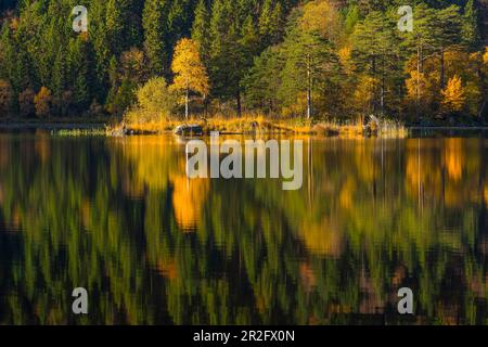 Der Herbstwald spiegelt sich im Eibsee, Garmisch-Partenkirchen, Bayern, Deutschland, wider Stockfoto