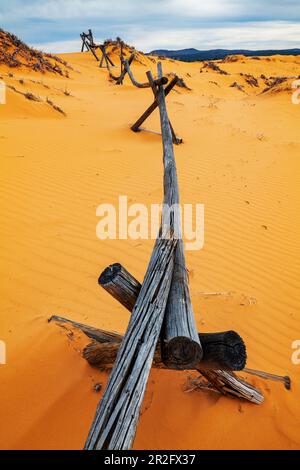 Verwitterter Wermut-Ranch-Zaun; Coral Pink Sand Dunes State Park; Utah; USA Stockfoto