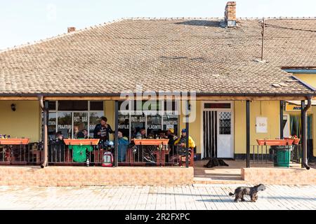 Donaudelta: Männer sitzen vor dem Dorfrestaurant in Mila 23, Tulcea, Rumänien. Stockfoto