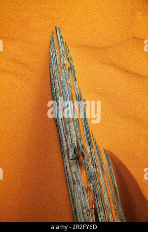 Verwitterter Wermut-Ranch-Zaun; Coral Pink Sand Dunes State Park; Utah; USA Stockfoto