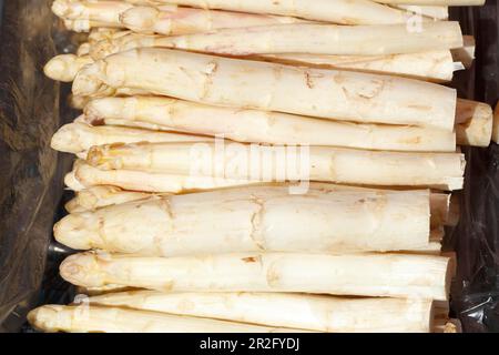 Frischer Spargel auf einem Marktstand, Deutschland Stockfoto