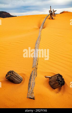 Verwitterter Wermut-Ranch-Zaun; Coral Pink Sand Dunes State Park; Utah; USA Stockfoto