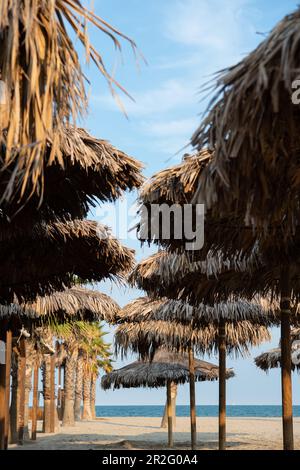 Palmen und Sonnenschirme vor klarem blauen Himmel, Strand, Forte dei Marmi, Toskana, Italien Stockfoto