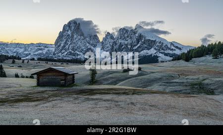 Früh am Morgen auf der Seiser Alm in den Dolomiten mit Blick auf Langkofel und Plattkofel, Südtirol, Italien Stockfoto