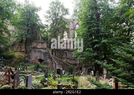 Burgruinen auf dem Oybin Mountain, historischer Bergfriedhof, Oybin, Zittau Mountains, Sachsen, Deutschland Stockfoto