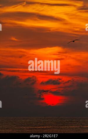 Sonnenaufgang am Schwarzen Meer, Eforie-Nord, Kreis Konstanologia, Rumänien Stockfoto