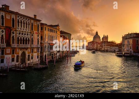 Canale Grande im frühen Morgenlicht mit Palazzo Cavalli-Franchetti und Santa Maria della Salute, Venedig, UNESCO-Weltkulturerbe Venedig, Veneto, IT Stockfoto