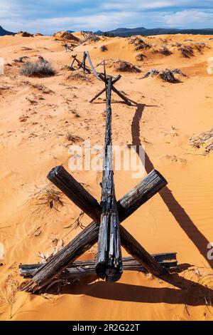 Verwitterter Wermut-Ranch-Zaun; Coral Pink Sand Dunes State Park; Utah; USA Stockfoto