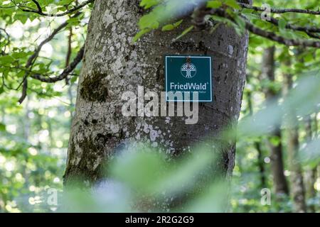 Friedwald, alternative Form der Beerdigung im Wald, Friedhof, Mülsingen, Baden-Württemberg, Deutschland Stockfoto