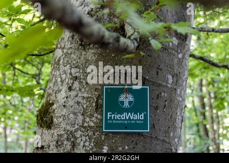 Friedwald, alternative Form der Beerdigung im Wald, Friedhof, Mülsingen, Baden-Württemberg, Deutschland Stockfoto