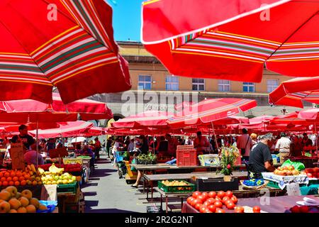 Der geschäftige Obstmarkt mit roten Sonnenschirmen in Zagreb, Kroatien Stockfoto