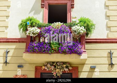 Üppige, farbenfrohe Blumen auf einem Balkon, Foligno, Italien Stockfoto