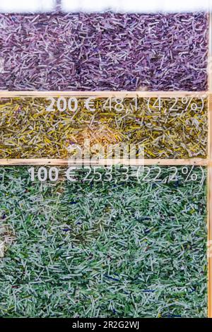 Euro-Scheine, mit einem Schredder entsorgt und zerfetzt, Geld zerfetzt, Präsentation der Deutschen Bundesbank, Frankfurt am Main, Hessen, Deutschland Stockfoto