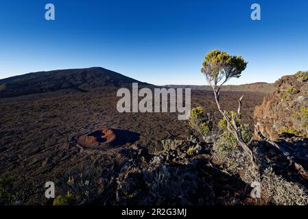 Blick auf den kleinen Krater Formica Léo und den Piton de la Fournaise. Stockfoto