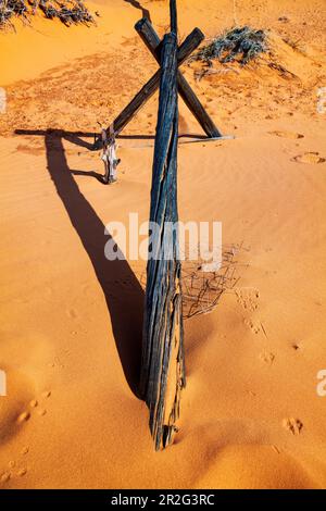 Verwitterter Wermut-Ranch-Zaun; Coral Pink Sand Dunes State Park; Utah; USA Stockfoto