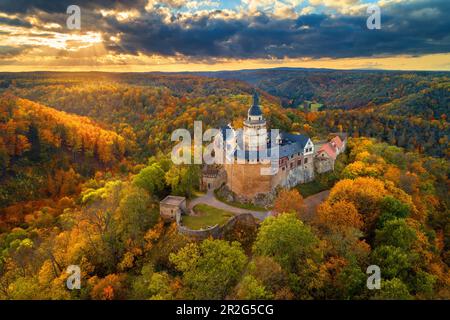 Falkenstein, Luftaufnahme, Burg, Herbst, Wald, Harz, Sachsen-Anhalt, Deutschland, Europa Stockfoto