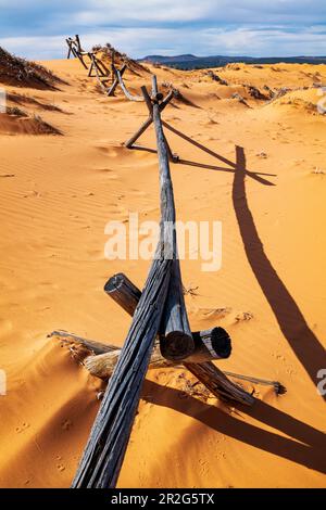 Verwitterter Wermut-Ranch-Zaun; Coral Pink Sand Dunes State Park; Utah; USA Stockfoto