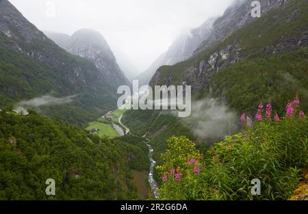 Blick vom Stalheim - Hotel ins Naeröydalen, Sogn Og Fjordane, Norwegen, Europa Stockfoto