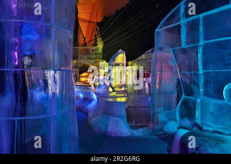 Bar - Galerie Magic Ice im Hafen von Svolvaer, Vestfjorden, Vestfjord, Nordland Province, Lofoten, Norge, Norwegen, Europa Stockfoto